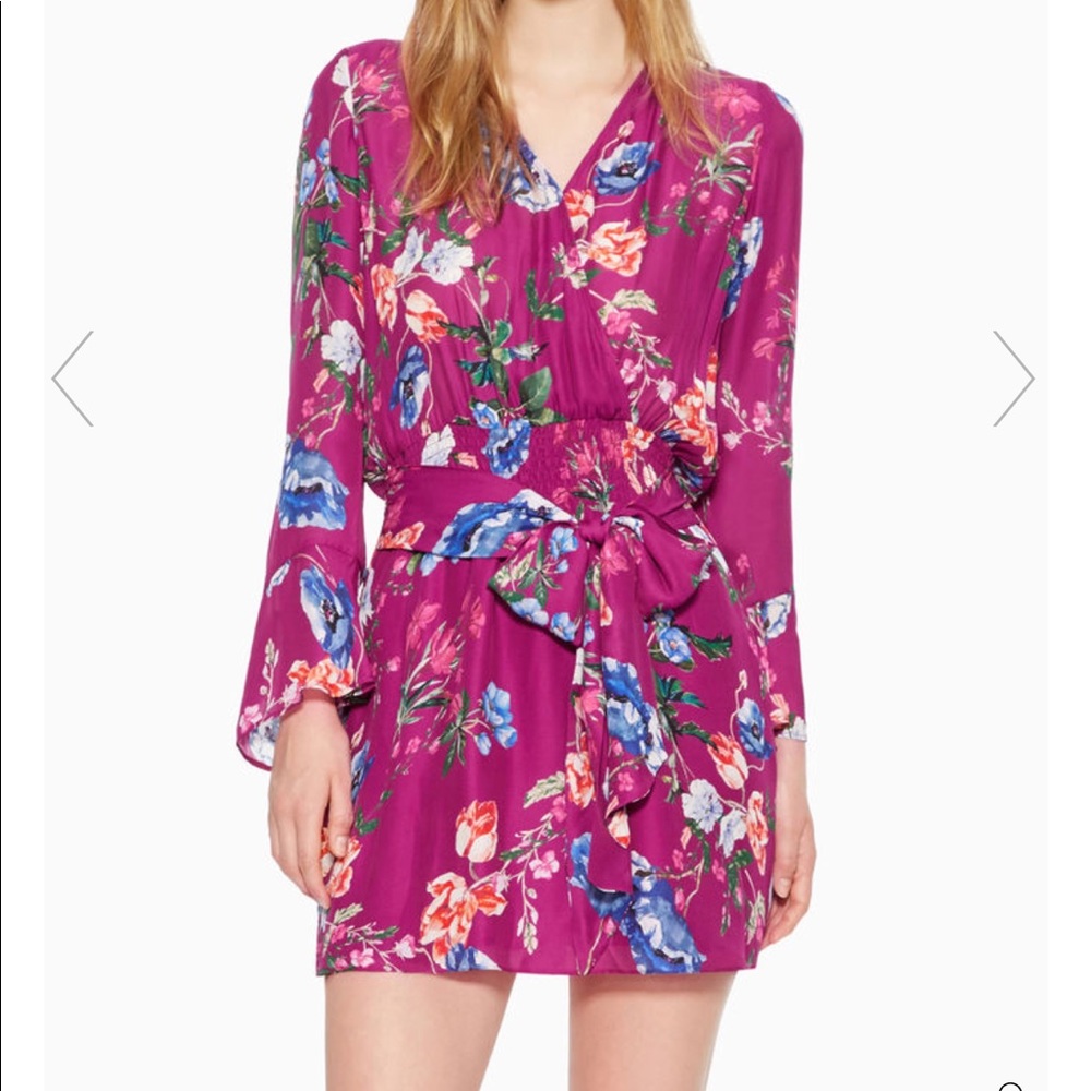 Parker Amanda dress